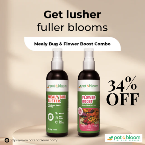34% OFF Discount on Mealy Bug Buster