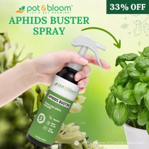 Aphids Buster Spray Offer – Upto 33% OFF