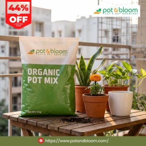 New Arrivals Offer – Upto 44% OFF