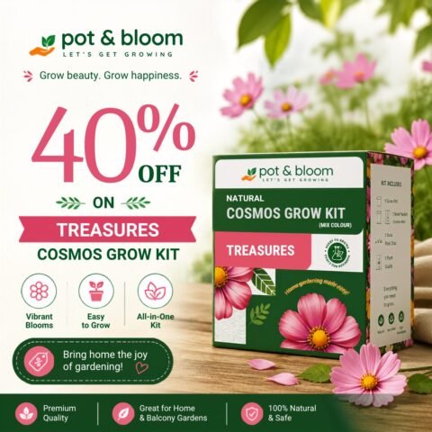 pot and bloom Get 40% Off Treasures Cosmos Grow Kit