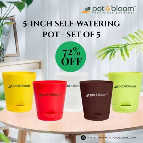 Self Watering Pot Coupon Code – UpTo 72% OFF