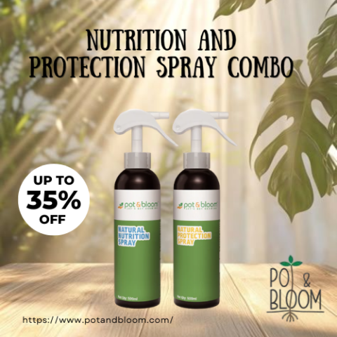 Sprays Promo Code – Up To 35% OFF