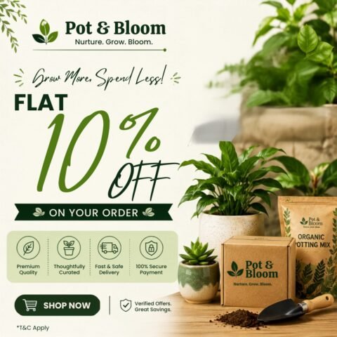 Flat 10% Off Your Order with This Pot & Bloom Coupon Code