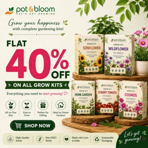 Get Flat 40% Off on All Pot & Bloom Grow Kits