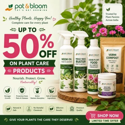 Get Up to 50% Off on Pot & Bloom Plant Care Products