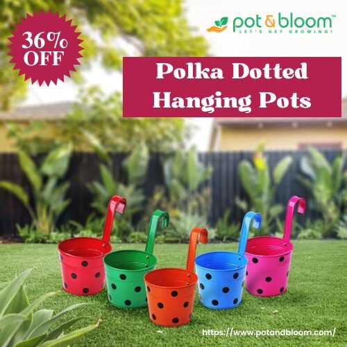 Polka Hanging Pots Promo Code – 36% OFF