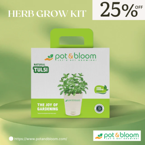 Herb Grow Kits Offer – Flat 24% OFF