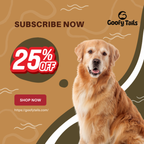 Subscribe Now
